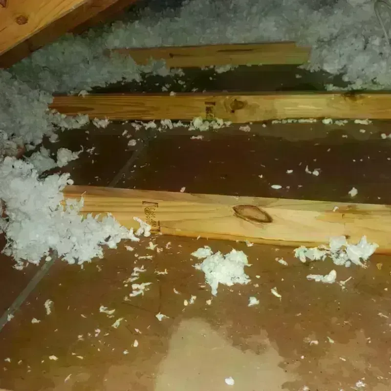 Attic Water Damage in Crawford County, IN